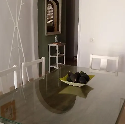 Centro De نيرخا