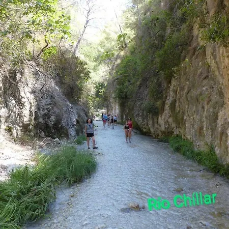 Centro De *